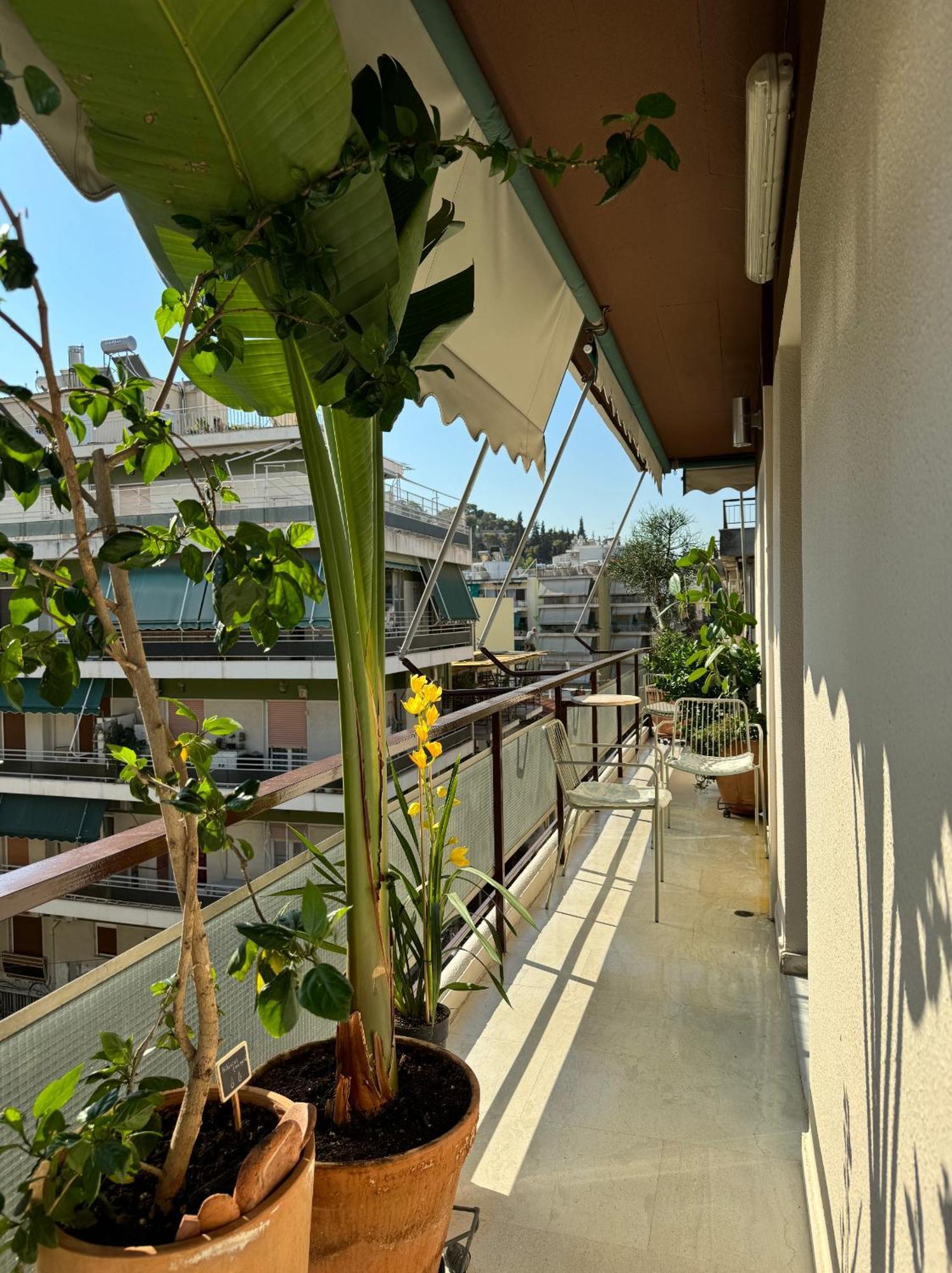 Friends & Family Apartment Athens Exterior photo